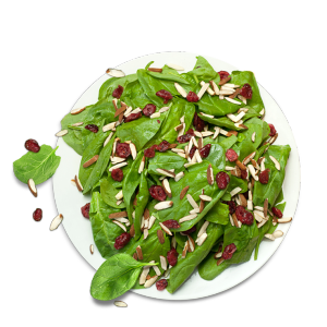 Tree Hugger Salad Fresh Spinach